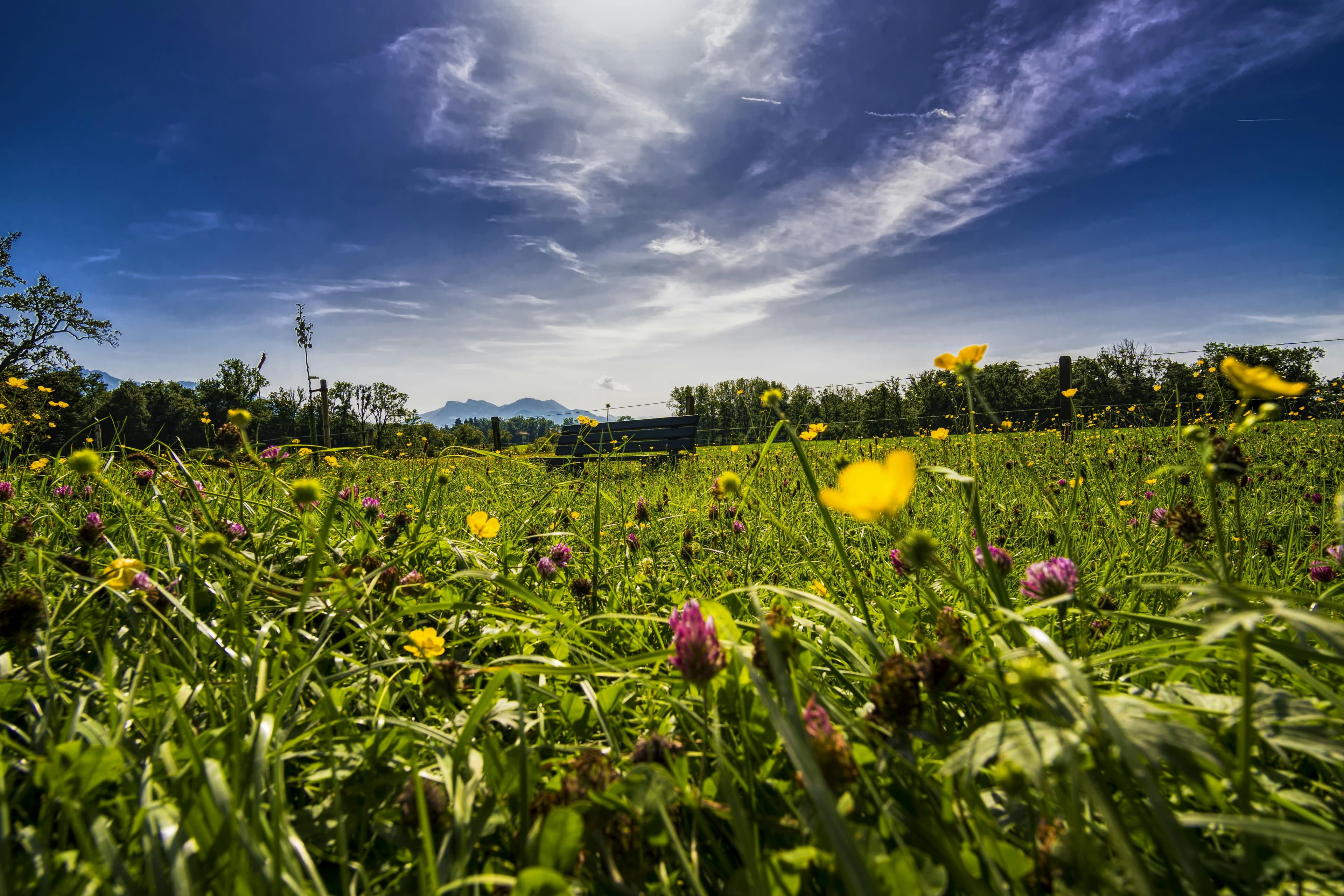Dellenentfernung im Sommer: Worauf du achten musst