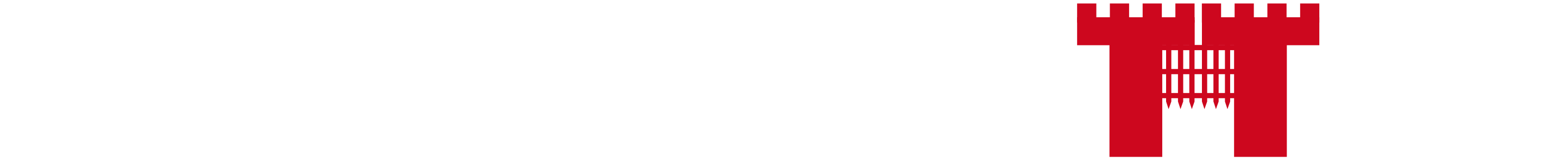 Markenritter